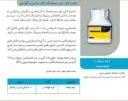 ایندومکت هایلر چینی تجارت طلایی
