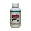 پیری پروکسی فن (آدمیرال) نیم ماهر