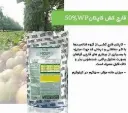 کاپتان یک کیلویی داروگستر