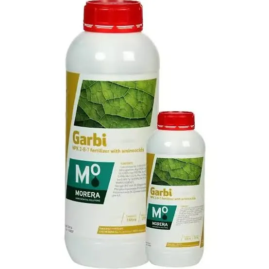 گاربی 250 سی سی موررای اسپانیا