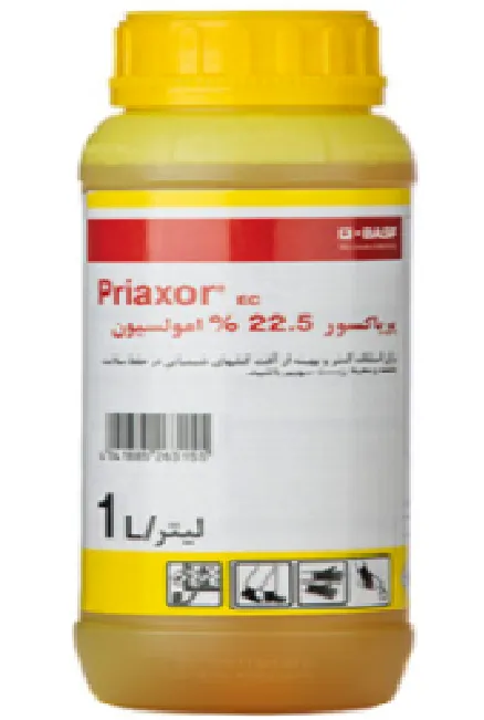 پریاکسور آلمان