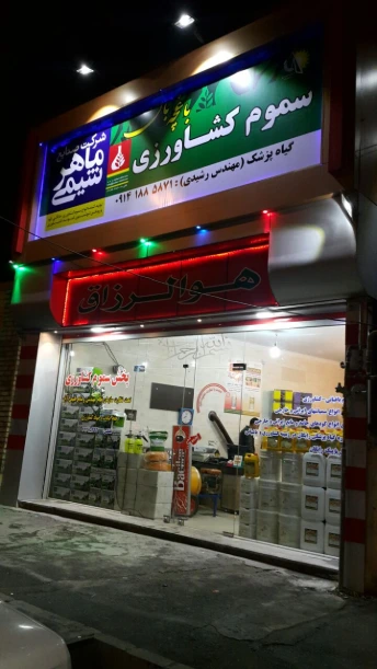 My Website